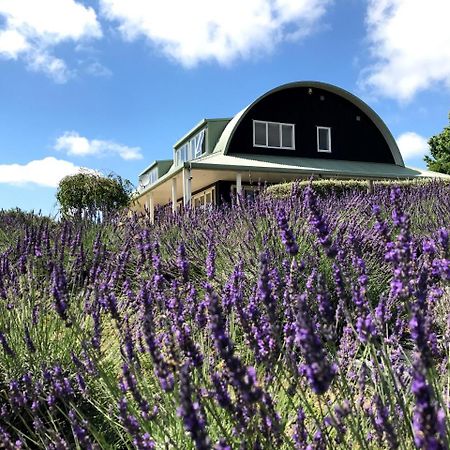 Lavender Hill Bed and Breakfast Riverhead Buitenkant foto
