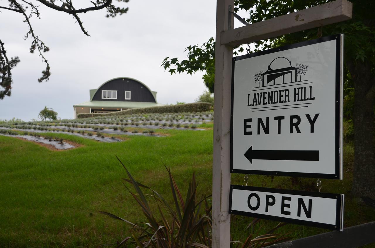 Lavender Hill Bed and Breakfast Riverhead Buitenkant foto
