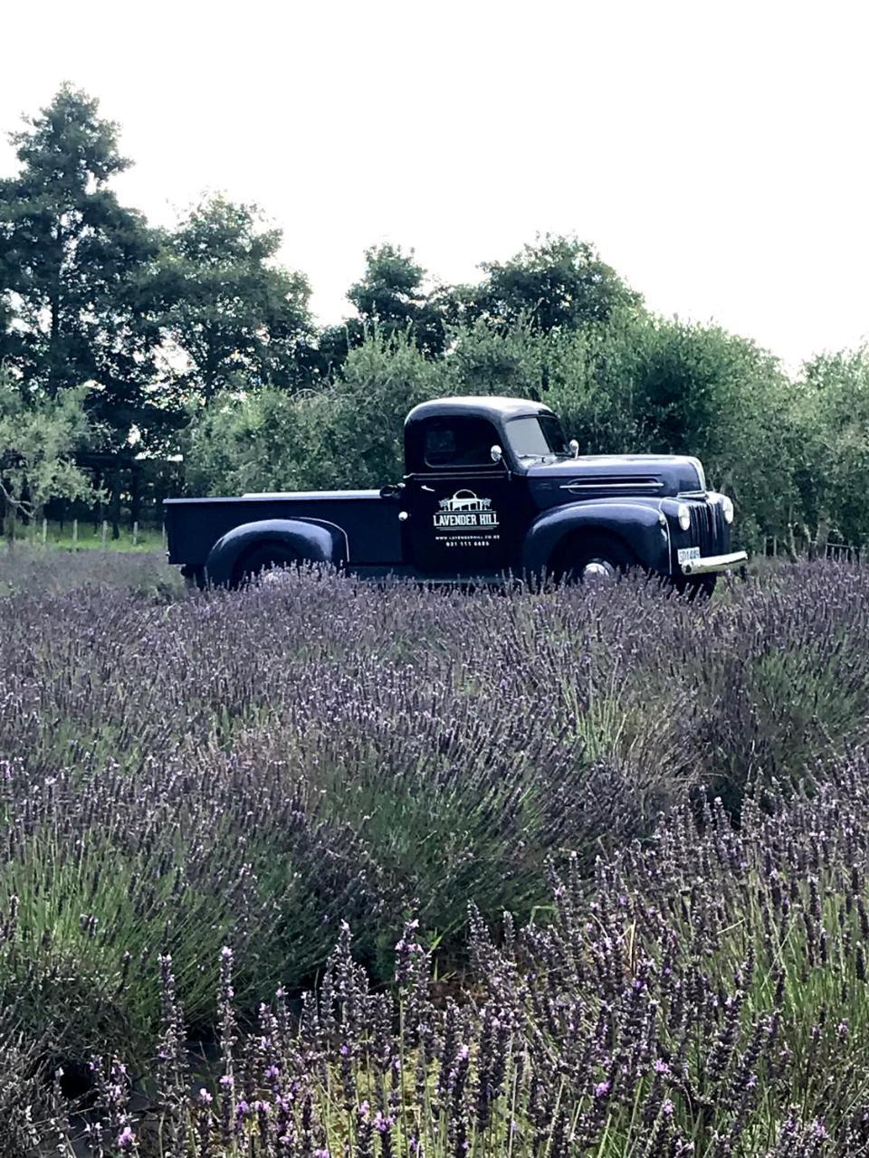 Lavender Hill Bed and Breakfast Riverhead Buitenkant foto