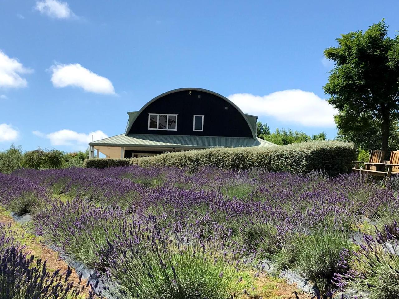 Lavender Hill Bed and Breakfast Riverhead Buitenkant foto