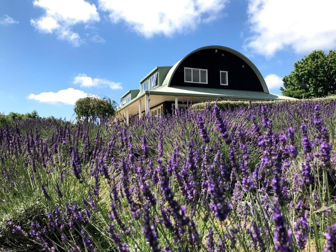 Lavender Hill Bed and Breakfast Riverhead Buitenkant foto